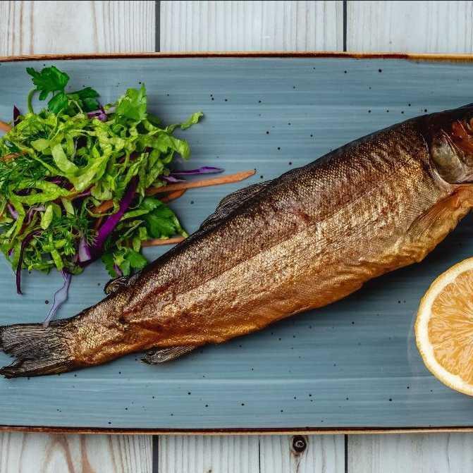 Forel