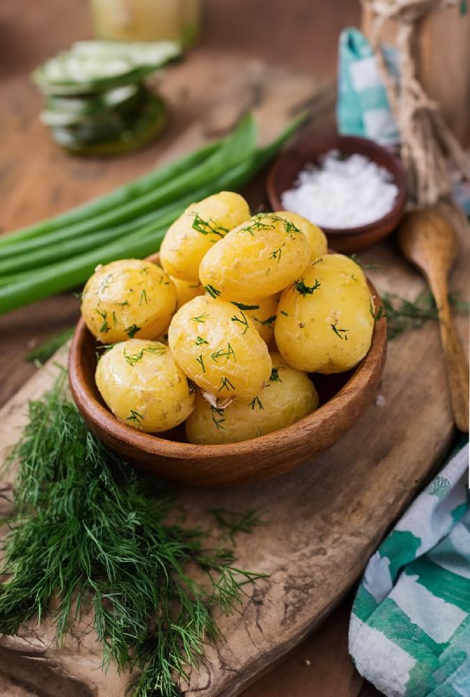 Soyutma Kartof 