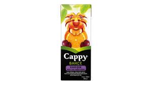 Cappy Mix Fruit (200ml)
