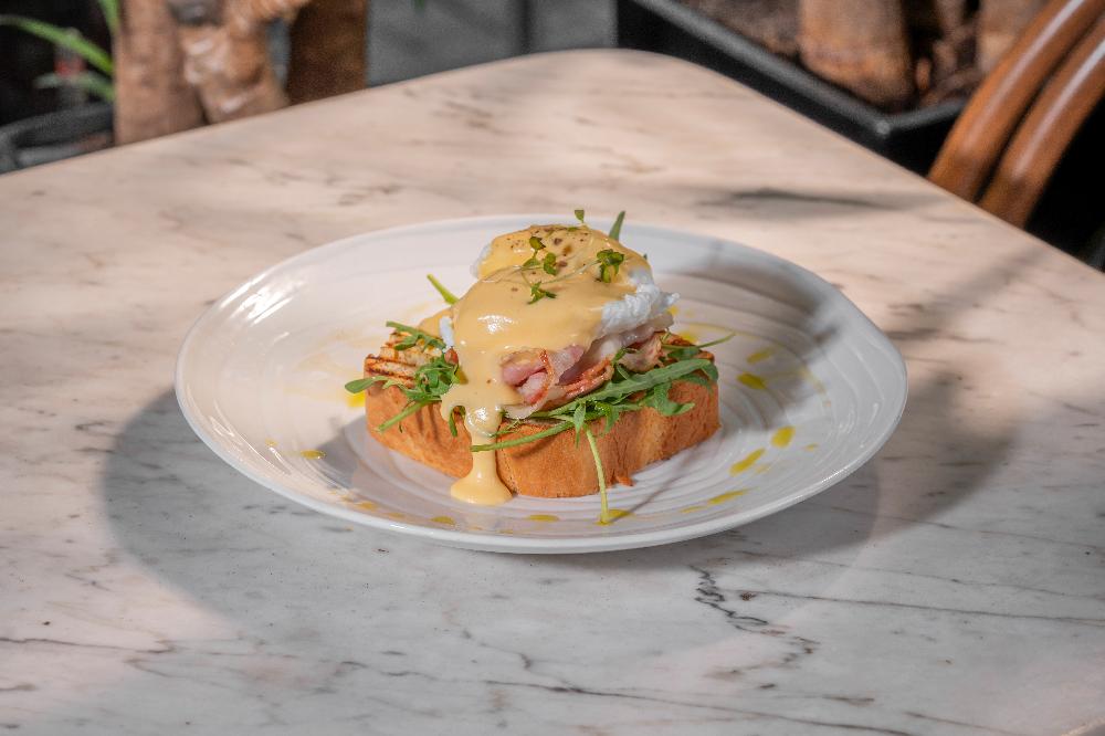 BRİOŞ ÜZƏRİNDƏ "BENEDİKT" YUMURTA