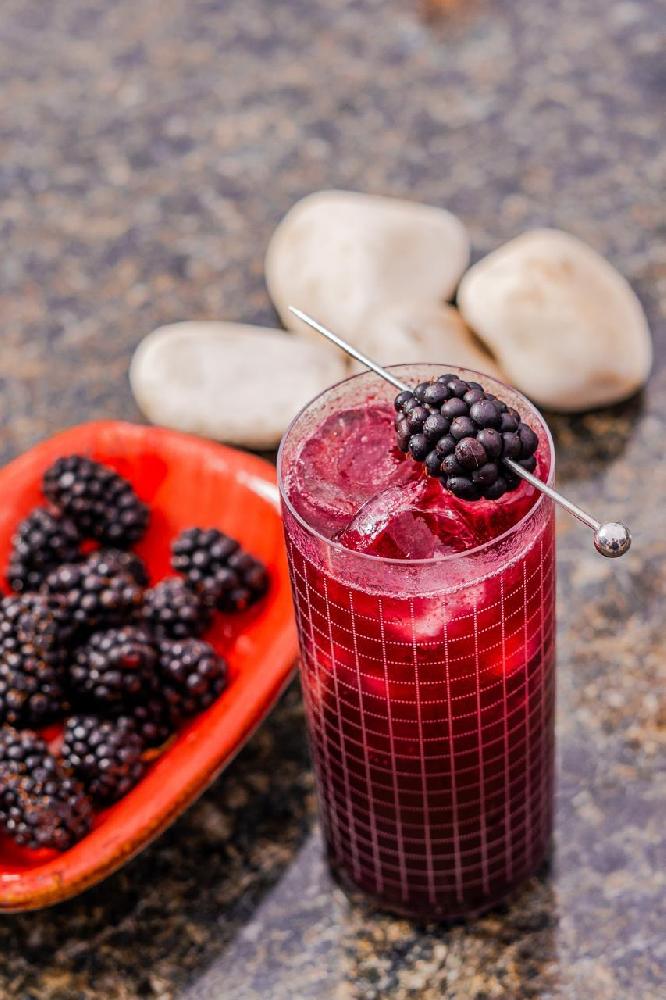 Black Currant Gin Tonik