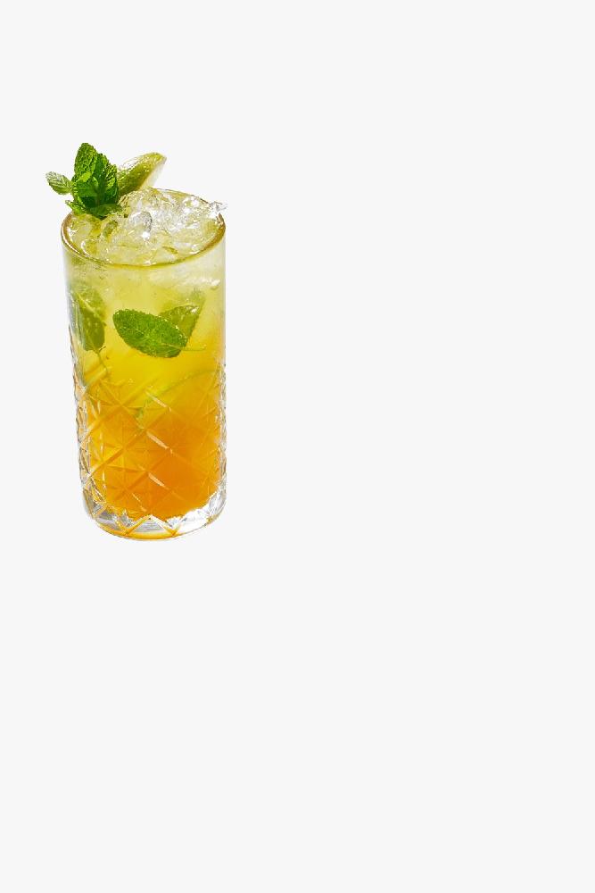 Caribbean Mojito
