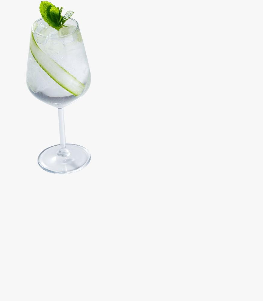 Cool Cucumber Gin Tonic