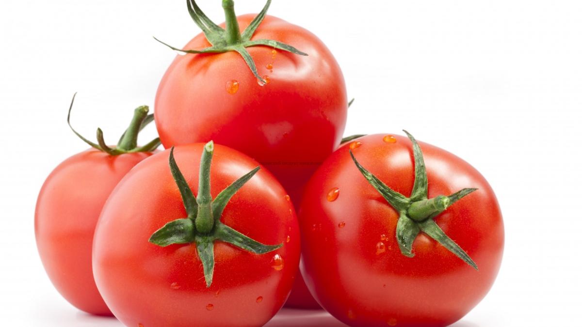 Pomidor