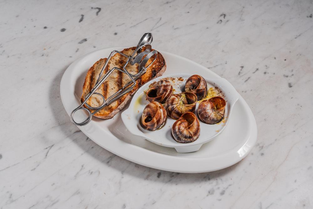 BURGUND ÜSLUBUNDA SALYANGOZ