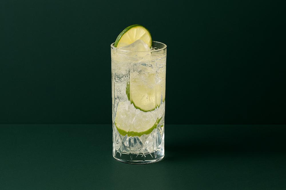 Gin and Tonic