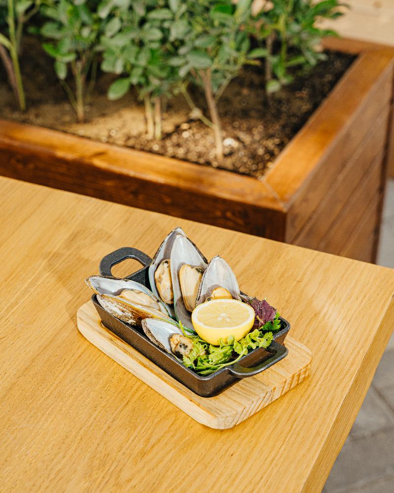 Midye soyutma