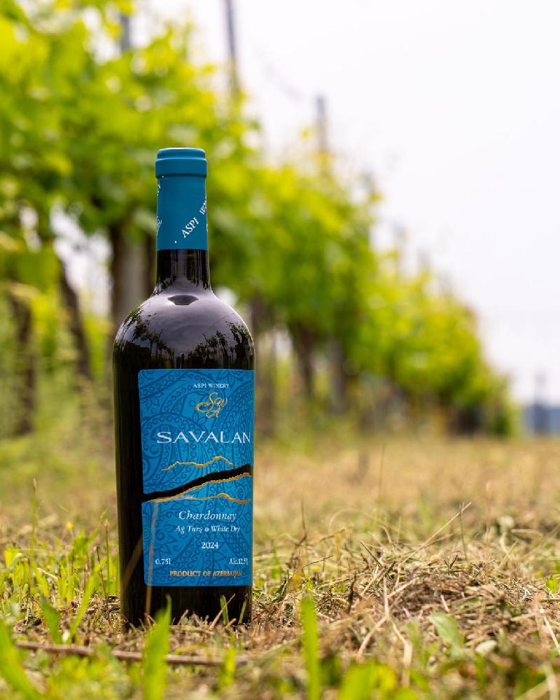 Savalan Chardonnay-Aspi 🇦🇿