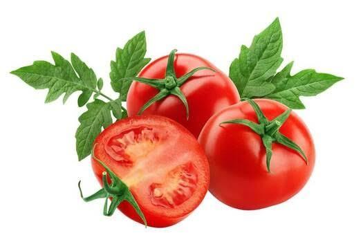 Pomidor