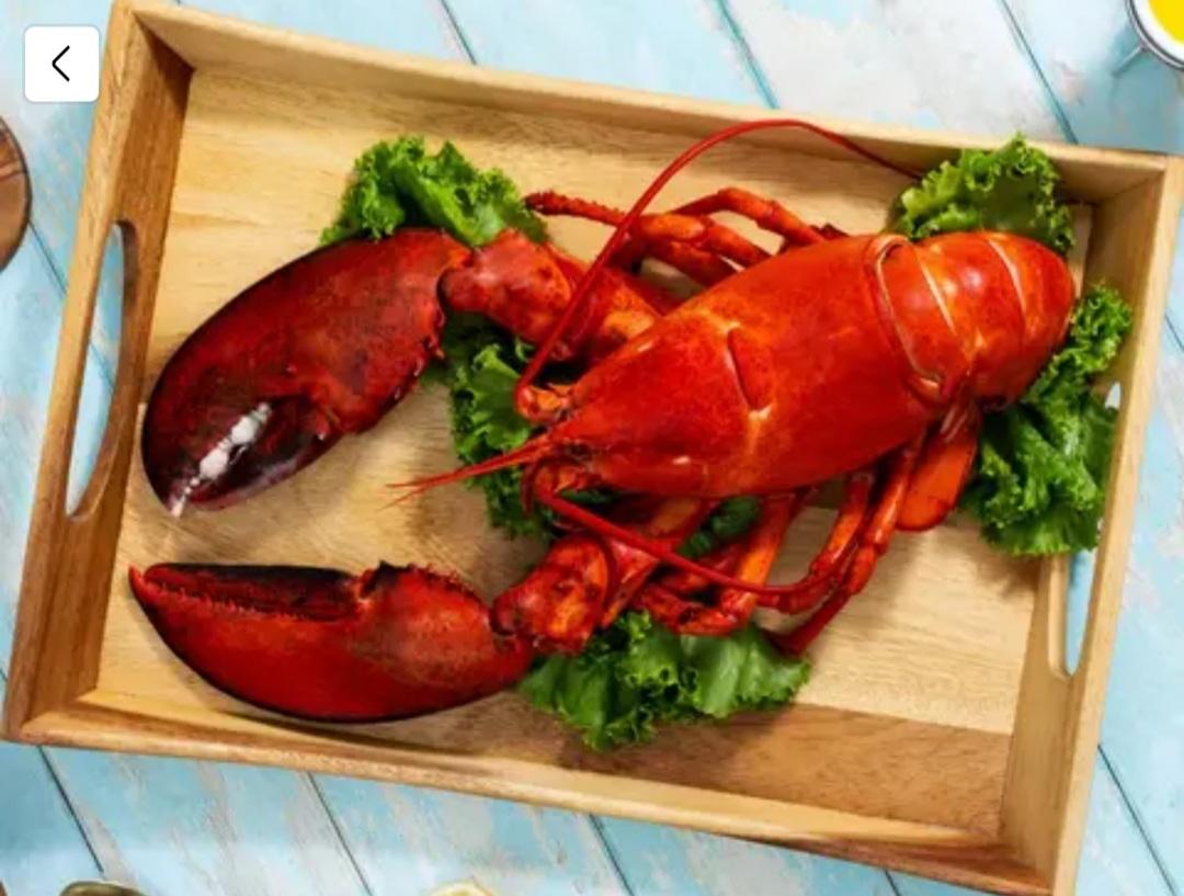 Lobster