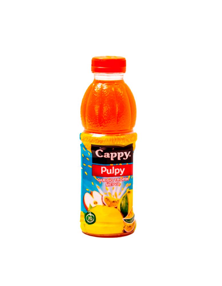 Cappy (qarışıq tropik meyvə) 500 ml