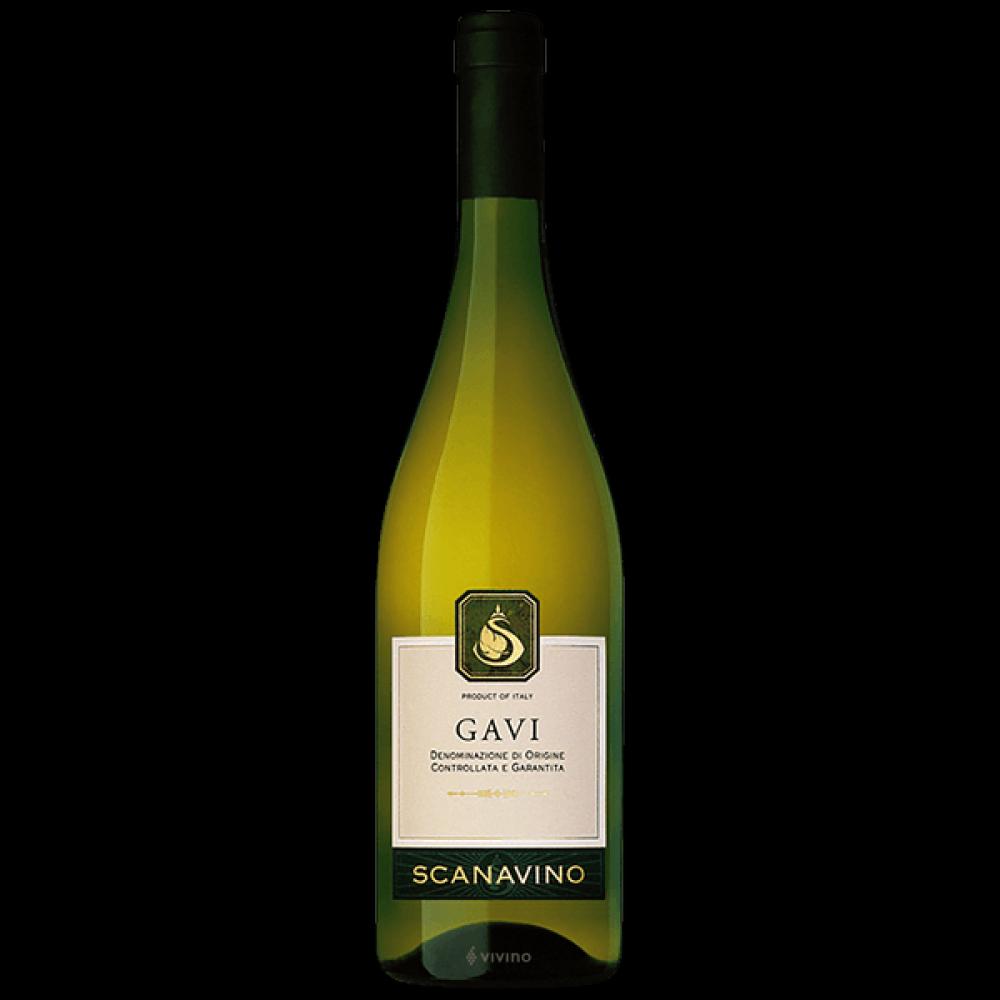 SCANAVİNO GAVİ