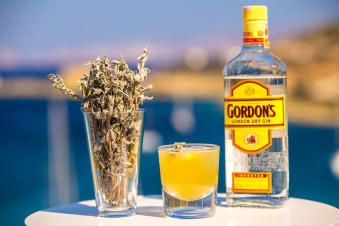 Gordon’s gin (tonik ilə)