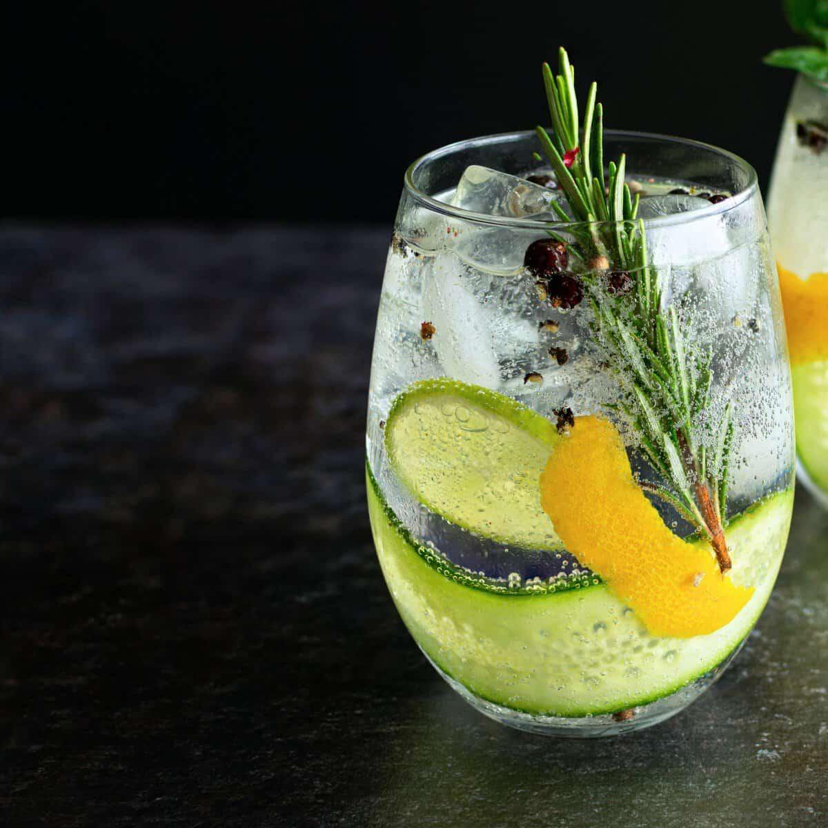  Gin Tonic