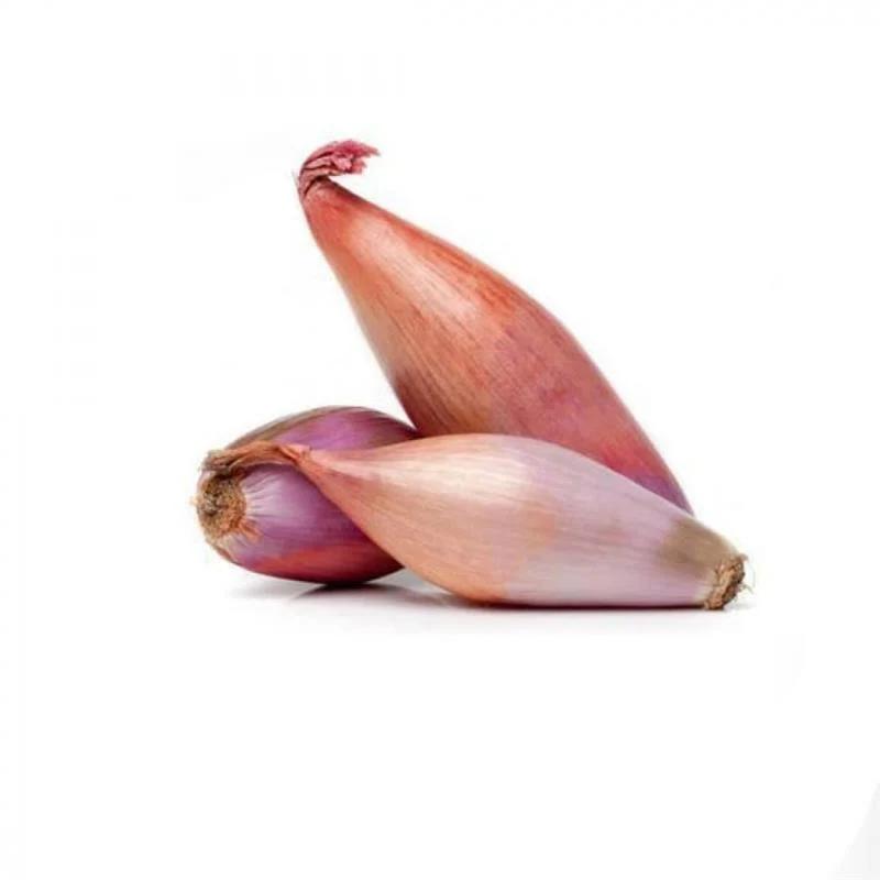 Hövsan soğanı