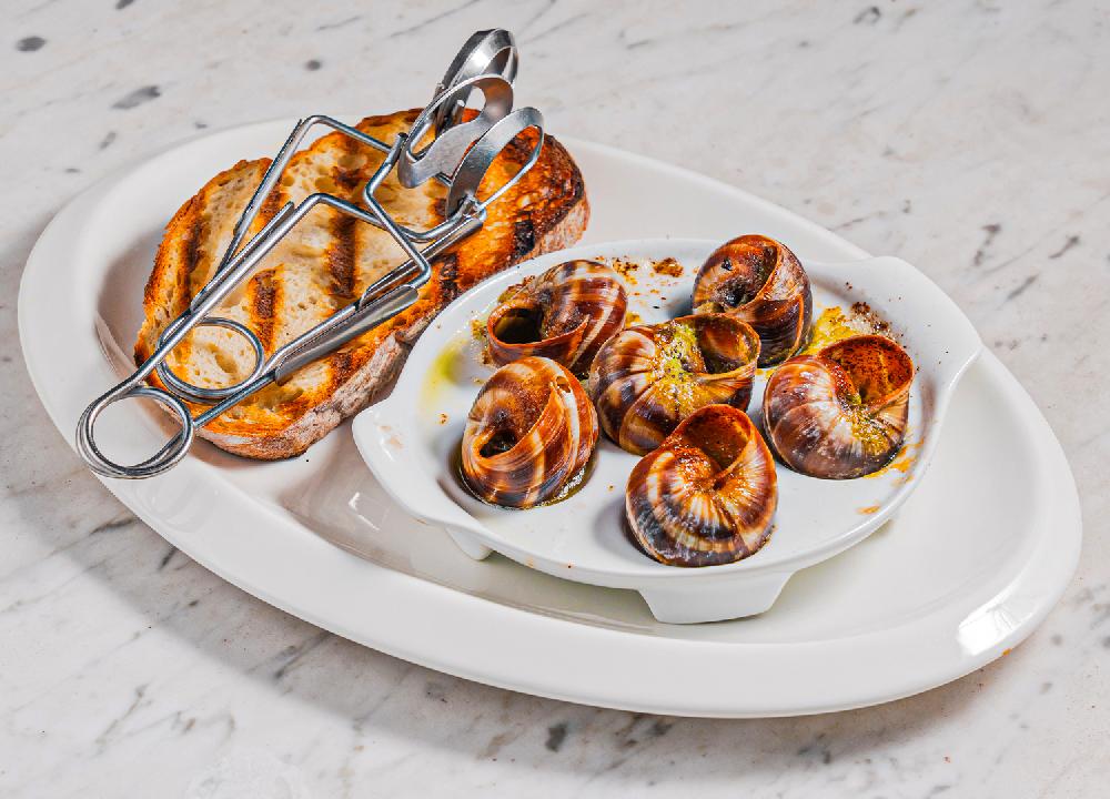 BURGUND ÜSLUBUNDA SALYANGOZ