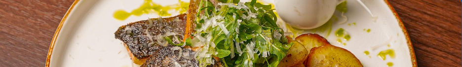 Forel Balığı