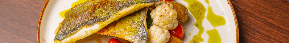 Dorado Balığı
