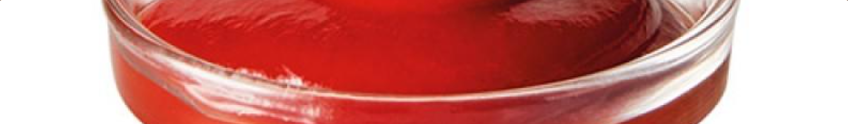 Test Ketchup