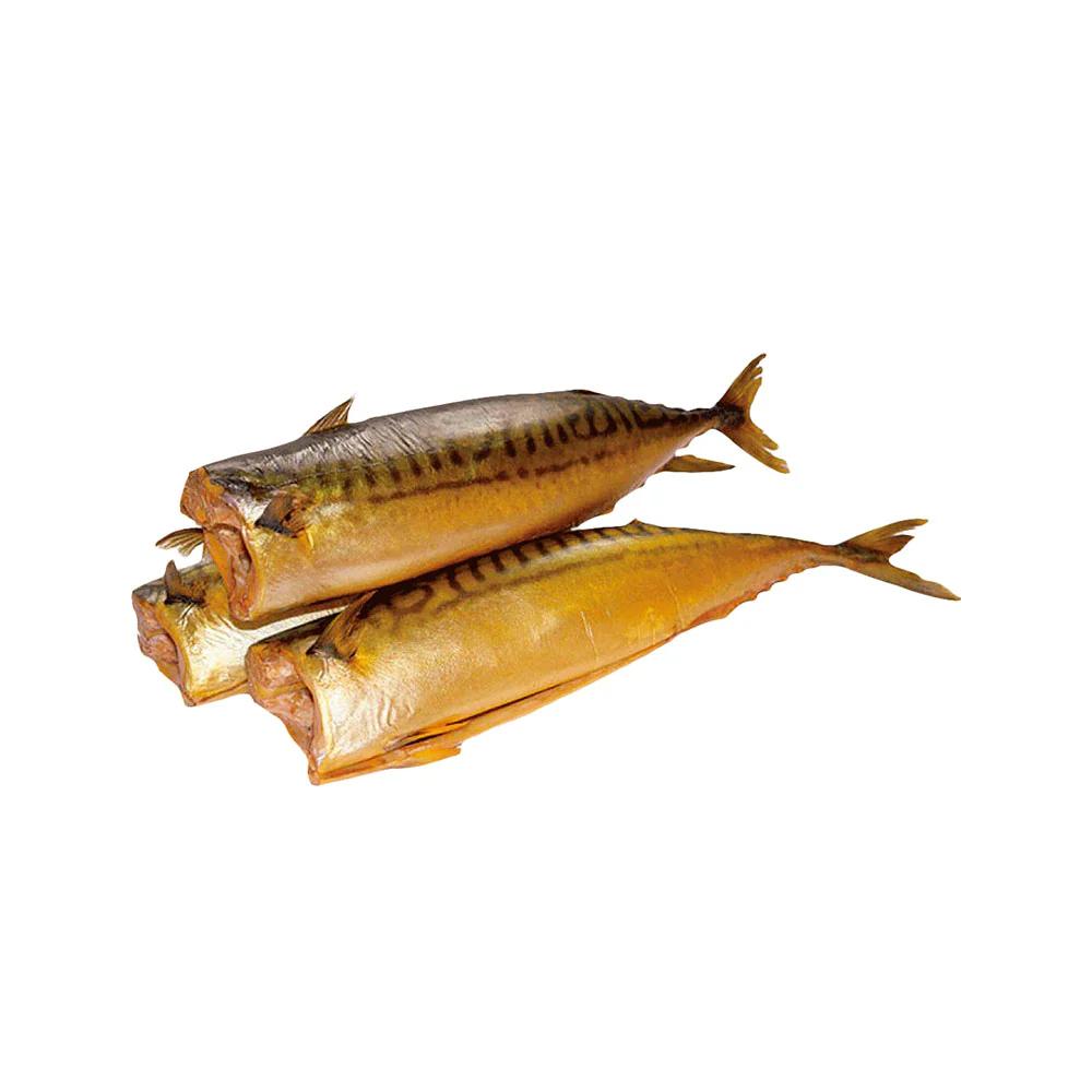 Skumbria balığı