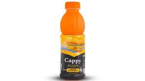 Cappy 500 ml