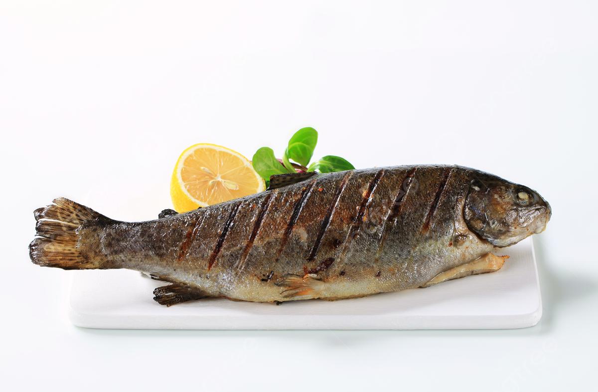 Forel 20az