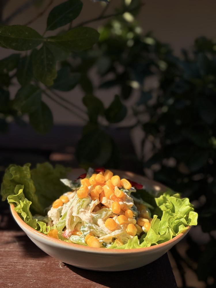 Toyuq salat ( pəhriz)