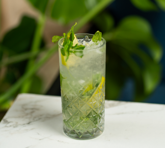 Virgin Mojito