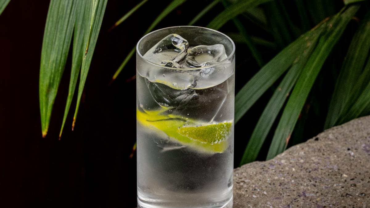 Gin Tonic  
