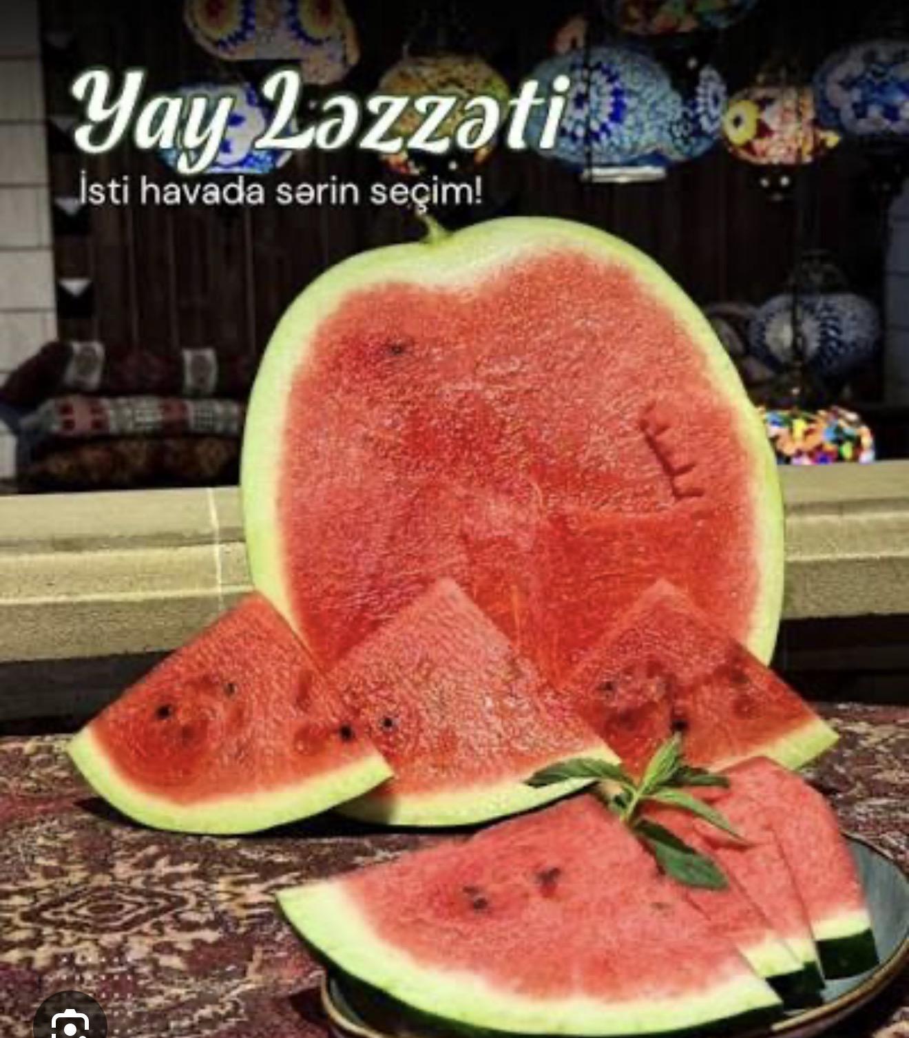 Qarpız