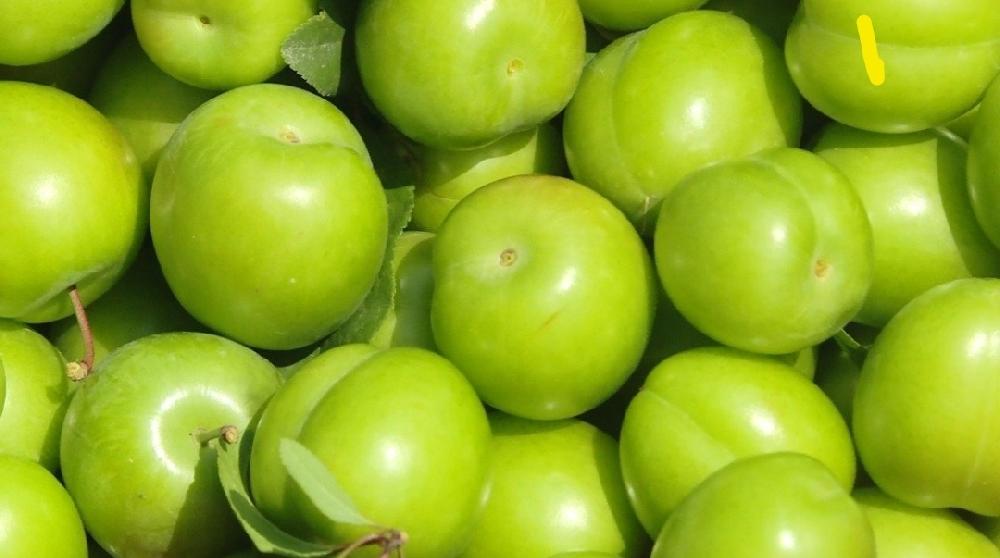 Təzə alça ( mövsümə uyğun ) 