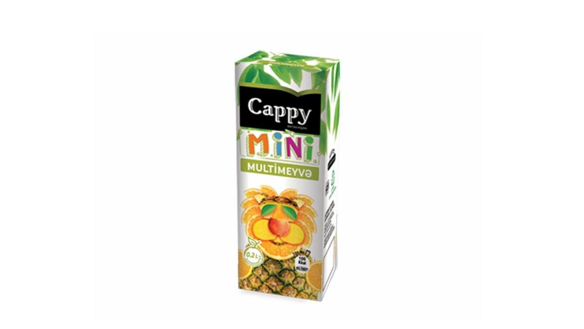 Cappy / Meyvə şirəsi