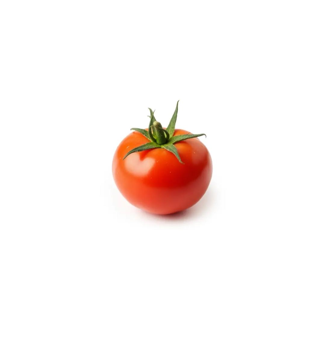 Pomidor