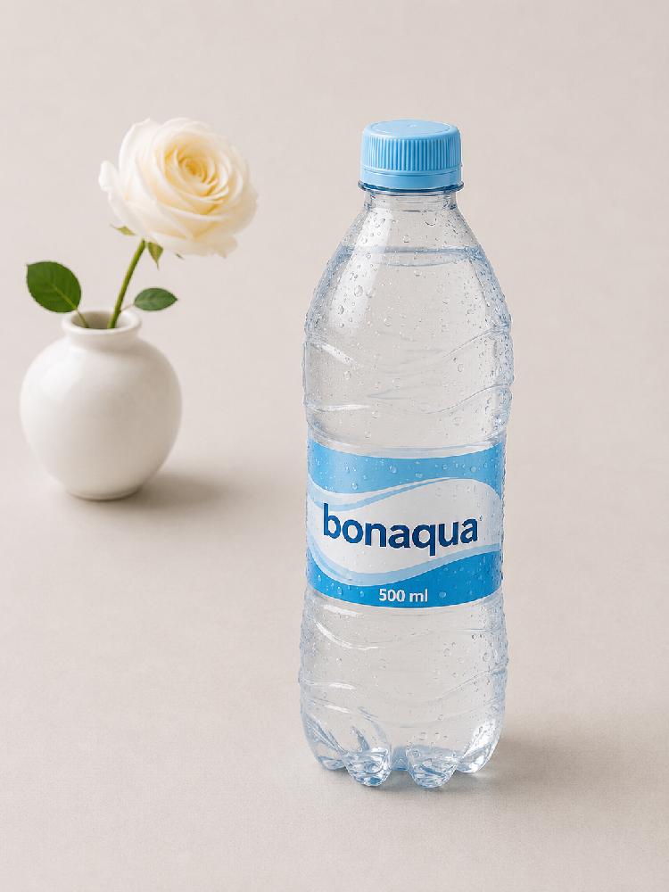 Qazsız Bonaqua