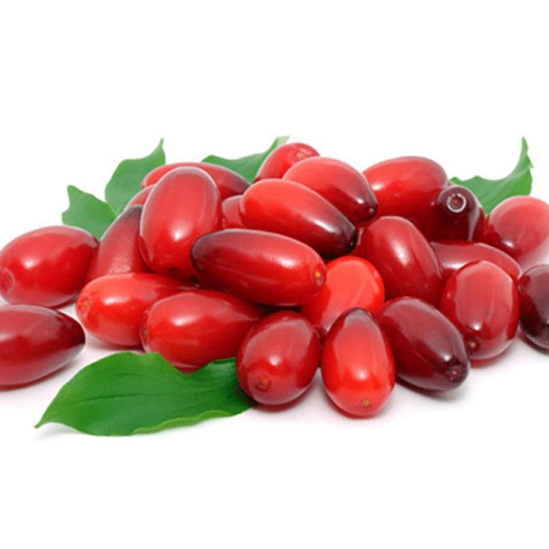 Zoğal