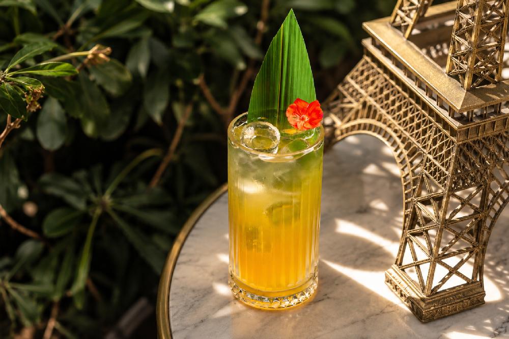 FLOWER FIZZ