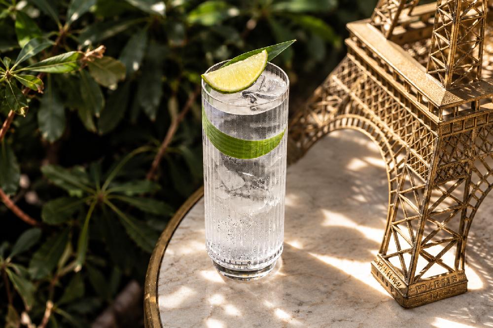 GIN & TONIC