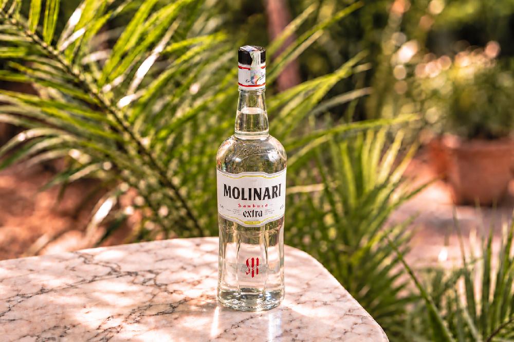 SAMBUCA MOLINARI