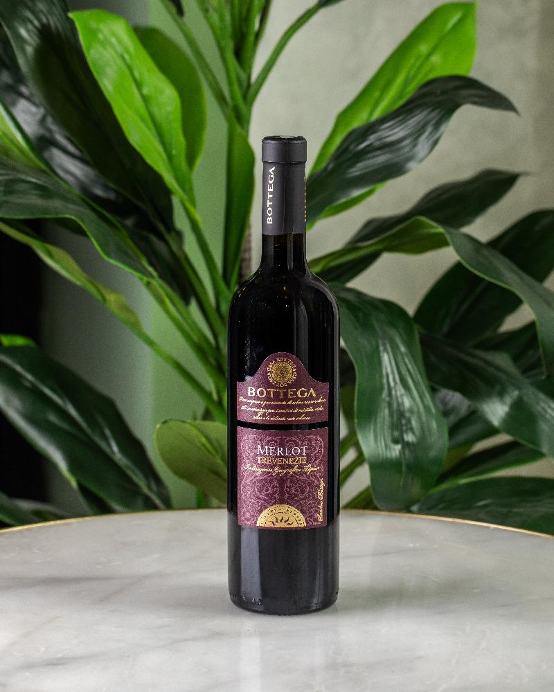 Bottega  Merlot  bokal