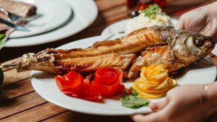 Forel setkada 300qr